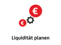 Liquidität planen