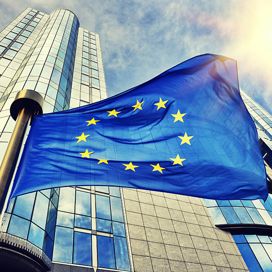 EU Flagge