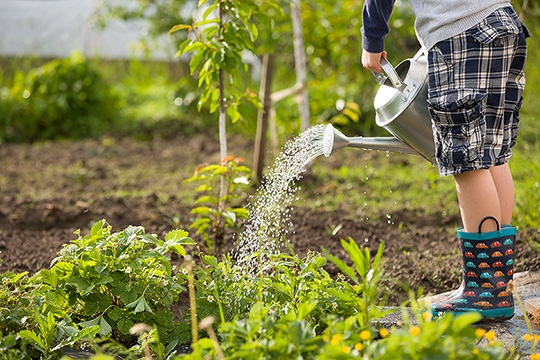 Gardening