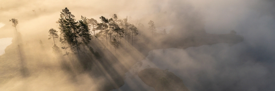 Eine Landschaft mit Bäumen von oben im Nebel
