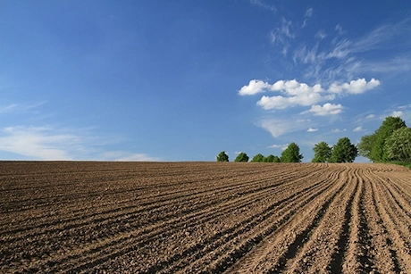 ein abgeerntetes Feld im Sonnenschein
