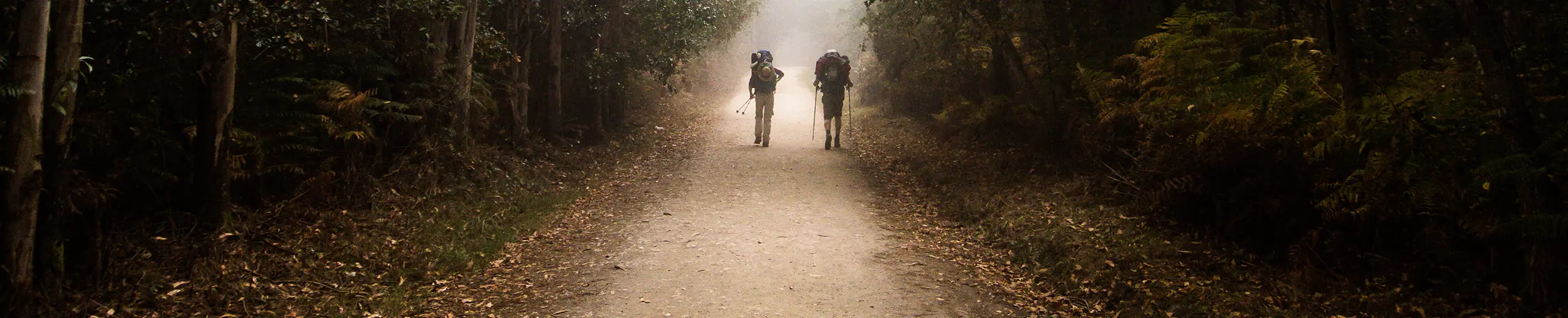 Zwei Wanderer auf einem Schotterweg im Herbstnebel